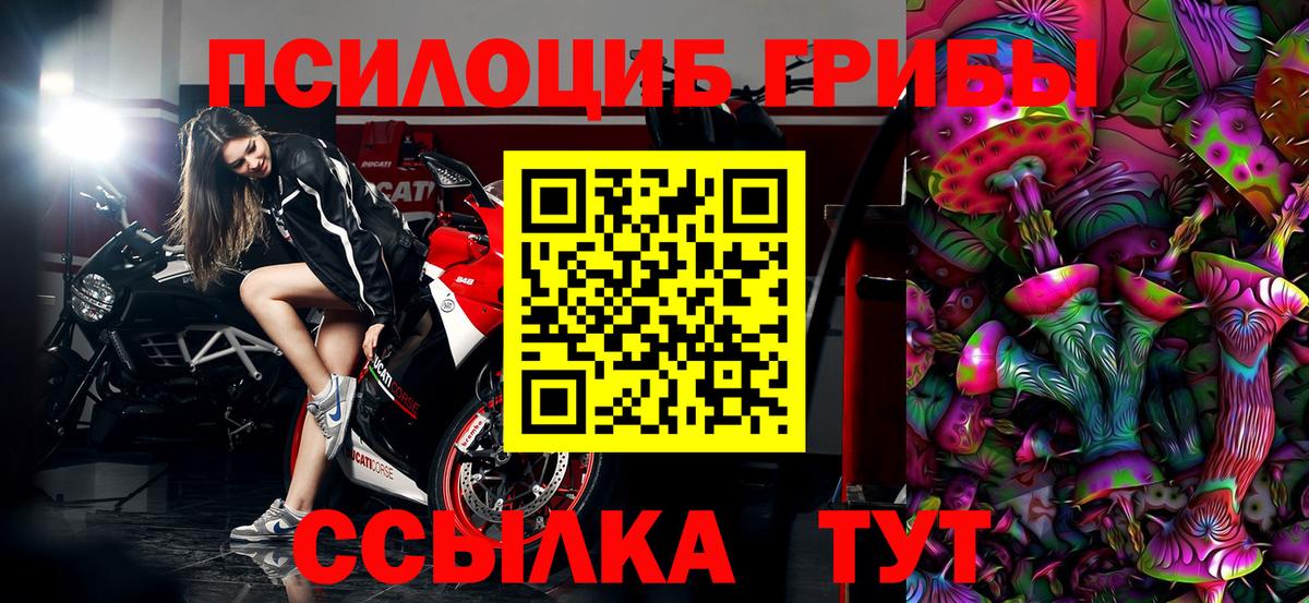 Псилоцибиновые грибы мицелий  Вход с VPN  Полысаево  Псилоцибиновые грибы прущие грибы 